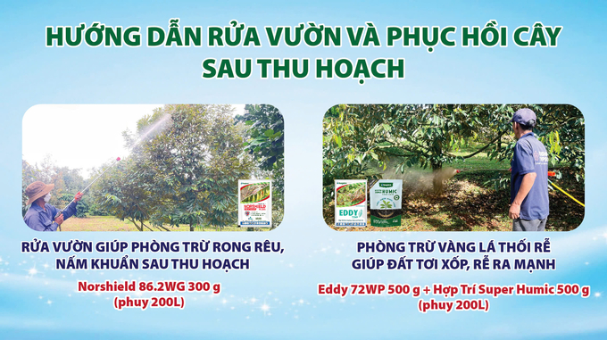 Trong điều kiện thời tiết cực đoan như hiện nay, việc quản lý sâu bệnh và chăm sóc cây trồng ngày càng khó khăn hơn nên các kỹ thuật như rửa vườn, tẩy bệnh và phục hồi cây sau thu hoạch rất quan trọng.