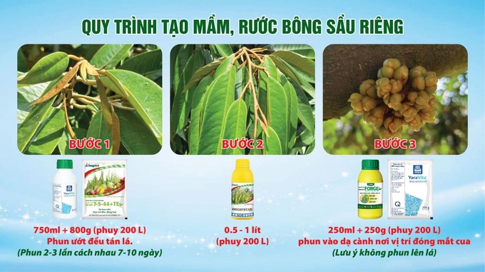 Sau khi thu hoạch xong sầu riêng, bón phân tưới nước, phun phân bón lá thúc tược giúp cây phục hồi nhanh, ra tược đồng loạt, trong đó bộ sản phẩm của Hợp Trí là một trong những lựa chọn ưu việt cho nhà vườn.