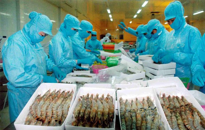 Seafood processing businesses are facing difficulties with the regulations outlined in Decree 09/2016.