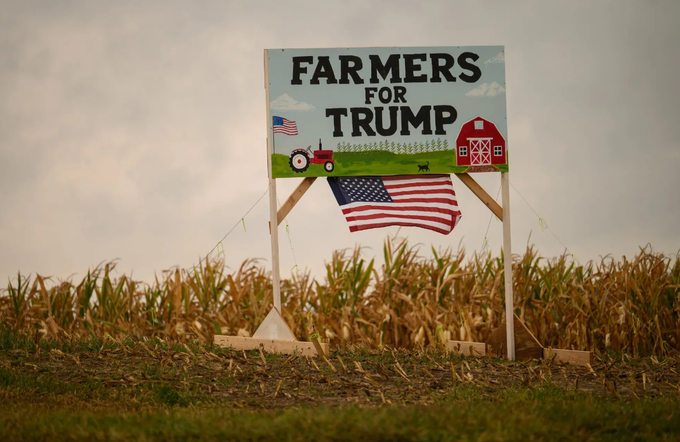 Grains start lower in reaction to the election but quickly come off lows and corn even finds some buying. Livestock are mixed.