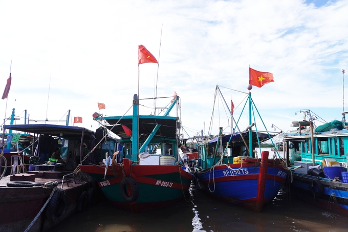 After 4 rounds of EC inspections, there have been some improvements in the implementation of IUU anti-fishing tasks, with notable results, though many targets have not been met or are still delayed. Photo: Hong Tham.