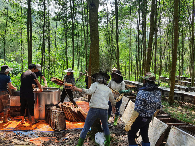 The challenge for Vietnamese honey comes not only from the damage caused by anti-dumping taxes but also from quality control when the situation of real honey being mixed with fake honey (honey made from sugarcane) is increasingly common. Photo: KT.