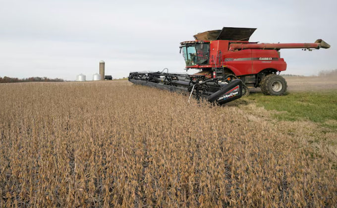 Soybeans are harvested from a field on Hodgen Farm in Roachdale, Indiana, U.S. November 8, 2019.