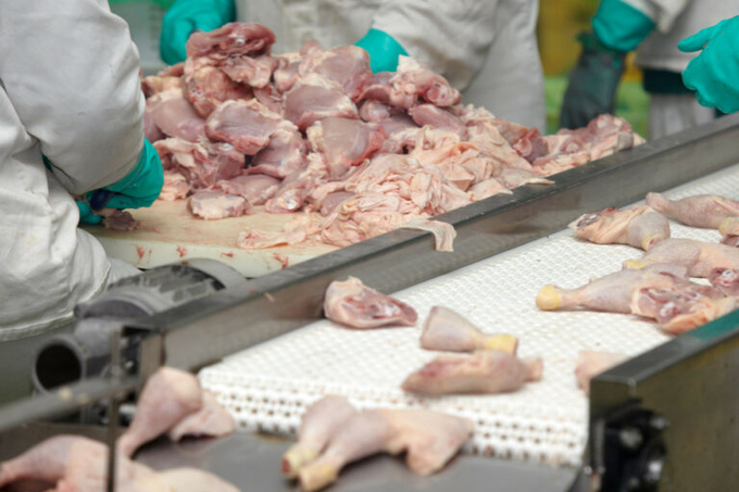 Russian poultry exports are driven by Asia and the Middle East. Photo: Canva.