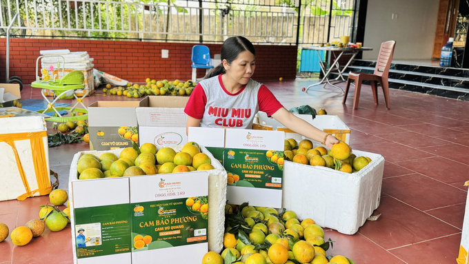 Sản phẩm Cam Bảo Phương đạt tiêu chuẩn OCOP 3 sao, truy xuất nguồn gốc rõ ràng nên tiêu thụ dễ, giá bán cao. Ảnh: Ánh Nguyệt.