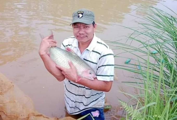 Pham Quang Thang has a lot of experience in raising carp and fish, now he suddenly produces Koi fish to sell and earn a fortune. Photo: H.D.