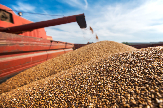 Wheat-Combine_Photo-cred-Adobe-stock_E