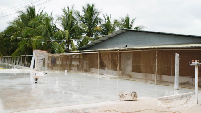 Mr. Chien's closed farm specializes in outsourcing pig farming in Chau Thanh district, Tay Ninh. Photo: Le Binh.