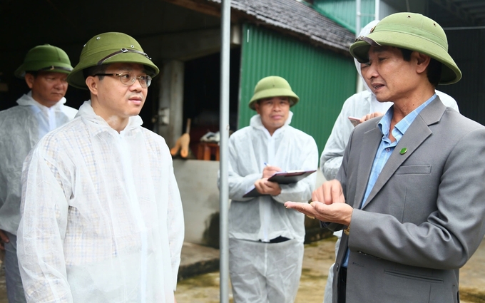 Potential livestock epidemics put a lot of pressure on specialized agencies and local authorities. Photo: Viet Khanh.