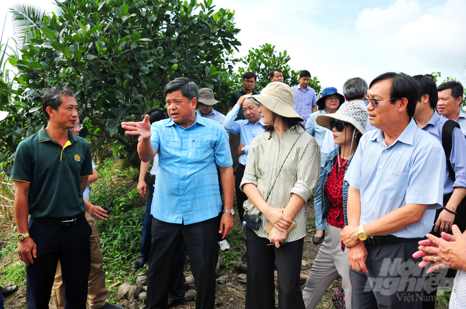 Deputy Minister of Agriculture and Rural Development, Tran Thanh Nam, visits the 1 million-hectare high-quality rice field in Tri Ton District, An Giang. Photo: Le Hoang Vu.