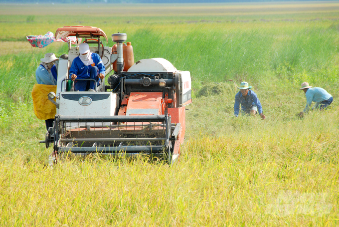 The project aims to boost farmers' incomes as well as mitigate negative environmental impacts, thereby fostering sustainable development throughout the Mekong Delta. Photo: Le Hoang Vu.