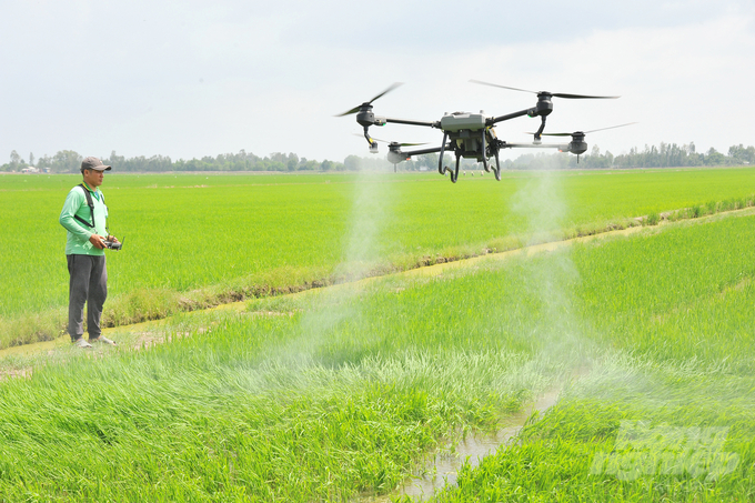 An Giang has made efforts to develop large-scale high-quality rice models, aiming to reduce carbon emissions through sustainable production processes. Photo: Le Hoang Vu.