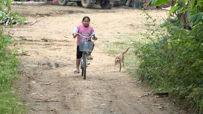 Many people are still staying negligent and do not vaccinate their dogs against rabies. Photo: Ngoc Tu.