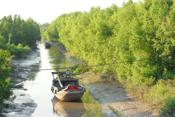 Livelihood diversity in mangrove forests in Vietnam. Photo: Hai Nam.