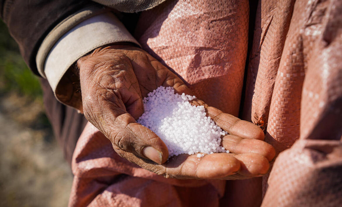 An Afghan farmer holds urea fertilizer in his hand. Sustainable fertilizer management has the potential to decrease Nitrous oxide emissions.