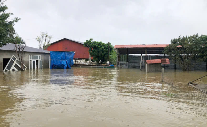 Khu trang trại tuần hoàn bị lũ lớn nhấn chìm. Ảnh: T. Đức.