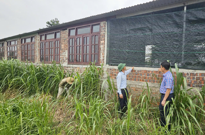 Tường móng khu nuôi gà được xây cao để tránh lũ. Ảnh: T. Đức.