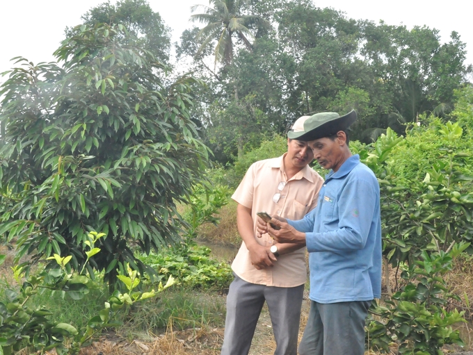 Agricultural technical staff guide farmers in orchard care, maintaining production unit codes to meet export market requirements. Photo: Trung Chanh.