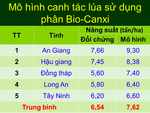 Bón phân Bio-Canxi là loại phân cung cấp Canxi và vi sinh vật có lợi cho đất; giúp đuổi mặn, hạ phèn, gia tăng pH đất; phân hủy nhanh rơm rạ trên ruộng. Ảnh: Bảo Vệ.