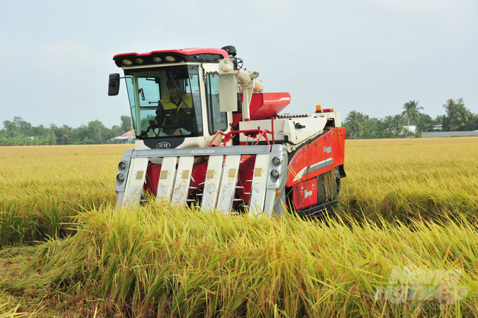 The agricultural sector of Can Tho City aims to establish a dedicated area for high-quality, low-emission rice cultivation, covering 38.000ha by the end of 2025. Photo: Le Hoang Vu.