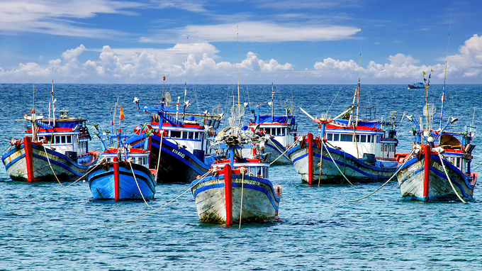 Currently, all fishing boats in Binh Thuan that are 15 meters or longer have installed vessel monitoring system (VMS) devices. Photo: N. Lan.