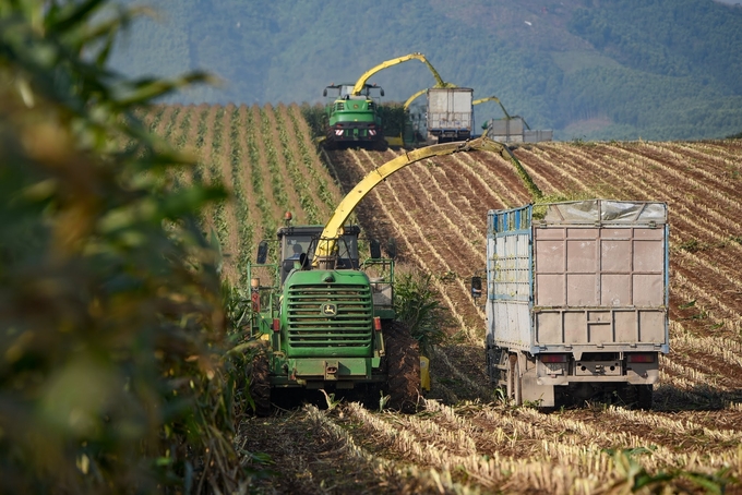 Ngành nông nghiệp Việt Nam liên tục bứt phá, tạo những kỷ lục về giá trị xuất khẩu trong những năm qua. Ảnh: Tùng Đinh.