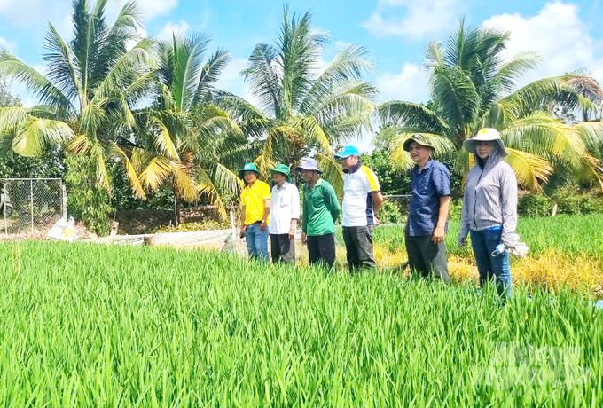 Chương trình tập huấn nhằm nâng cao năng lực cho cán bộ khuyến nông cơ sở. Ảnh: Lê Hoàng Vũ.