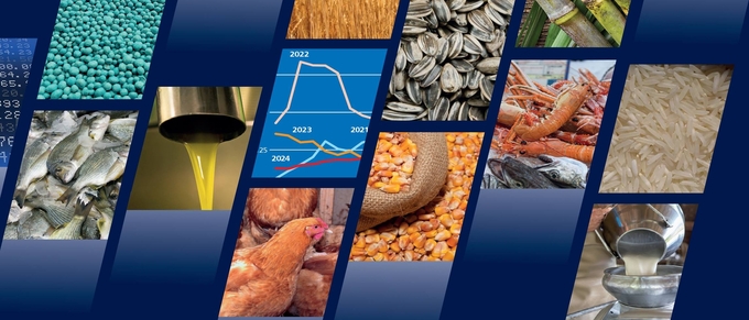 FAO Food Outlook report.