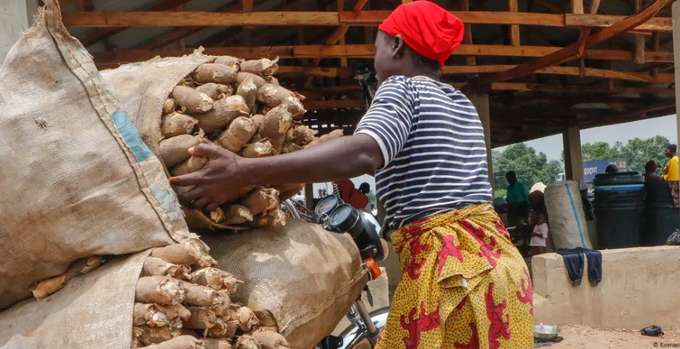 The Nigerian government has announced an agricultural investment plan that includes boosting productivity in staple cropsImage.