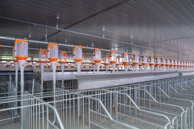 With the cooperation of BigDutchman, the livestock farm of the De Heus - Hung Nhon chain meets international standards.