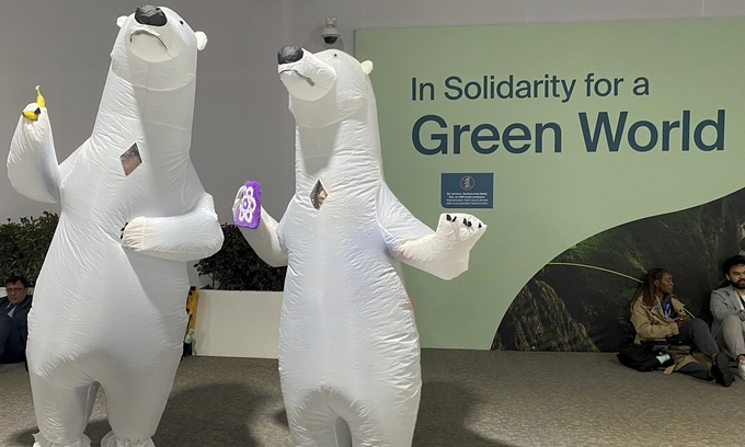 Environmentalists dress as polar bears to draw attention to the consequences of global warming during the COP29 World Climate Conference in Baku, Azerbaijan, on November 14, 2024. The bears' habitat is under threat due to the melting Arctic ice. Photo: VCG.