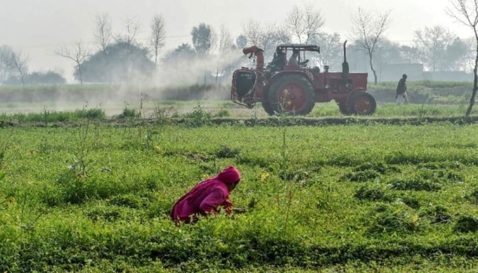 Agriculture Department officials on a tractor spray pesticides to kill locusts as a farmer works in a field in Pipli Pahar village in Punjab in this picture taken on February 23, 2020. Photo: AFP.