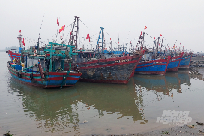 By the end of June 2024, the entire province of Thanh Hoa had equipped over 1.000 fishing vessels with a length of 15 meters or more with tracking devices, achieving a 100% installation rate. Photo: NNVN.