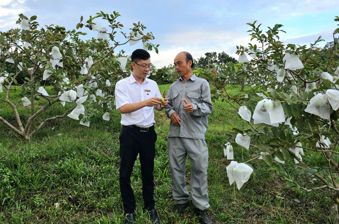 Nông dân Tô Đình Kền (bên phải) cho biết, hiện gia đình có hơn 20 ha cây ăn trái các loại. Ảnh: KS.