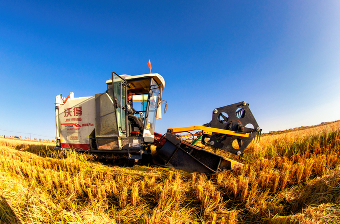 An agricultural machine harvests rice on the Tailai Farm in Heilongjiang province.