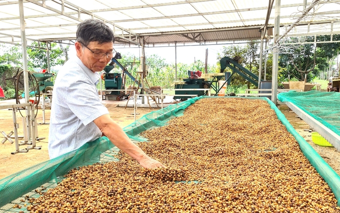 Gia Lai dành nhiều chính sách đầu tư thiết bị, sân phơi bài bản nhằm nâng cao chất lượng sản phẩm cà phê. Ảnh: Đăng Lâm. 