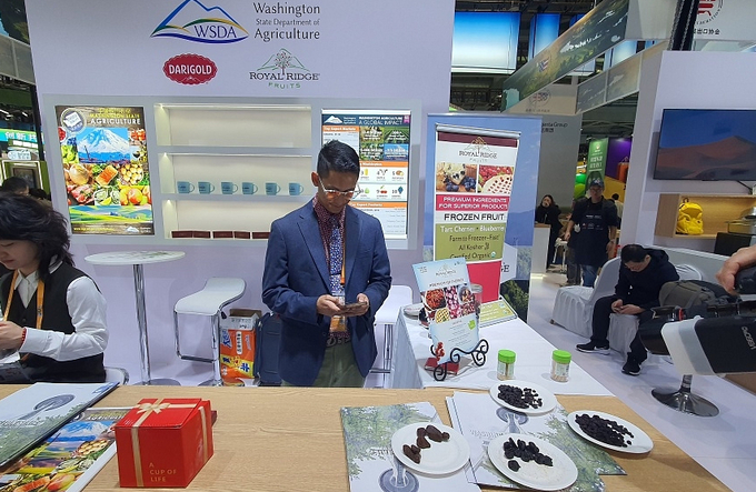 Mr Manuel Garibay, a sales manager at Royal Ridge Fruits, a Washington state cherry exporter, checking for US election updates at the China International Import Expo in Shanghai on Nov 6. 