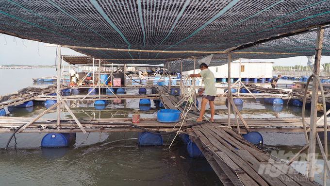 Aquaculture farmers install oxygen supplement systems for fish cages during stagnant water days. Photo: Le Binh.