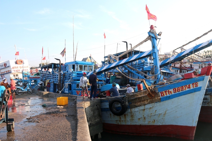 Modernizing seafood exploitation is an urgent requirement. Photo: NNVN.