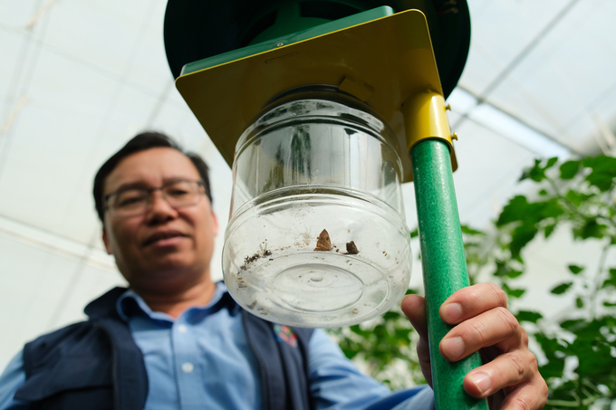 Máy bắt côn trùng sử dụng năng lượng mặt trời được cán bộ FAO lắp đặt trong nhà màng của ông Hà Văn Tiến. Ảnh: Quỳnh Chi.