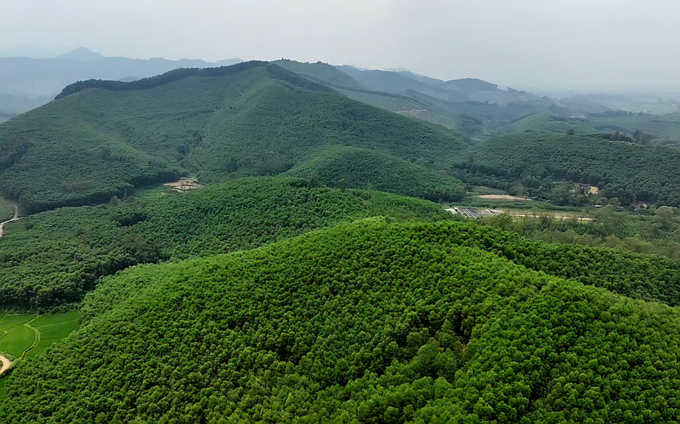 Yen Bai is one of the provinces with the highest forest coverage rates in the country. Photo: Bao Thang.