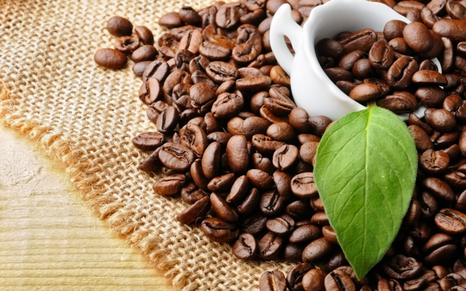 Coffee prices on November 19, 2024: Slight increase of VND 500/kg