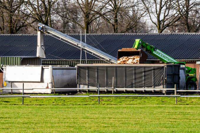 Bird flu was detected at a layer farm in the Netherlands. Photo: Bert Jansen.