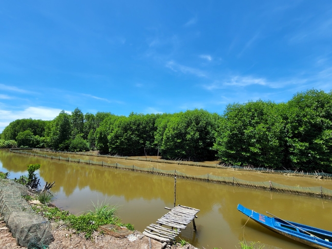 Ca Mau has effectively developed its eco-tourism and community-based tourism destinations. Photo: Trong Linh.