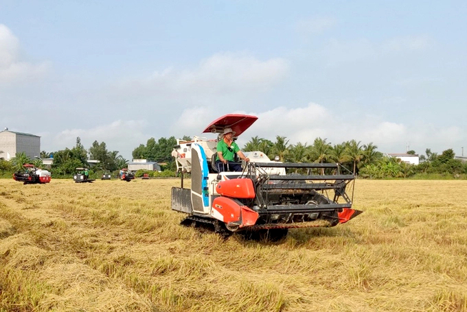 Lúa gạo là một trong những nông sản thế mạnh của Việt Nam khi xuất khẩu sang Trung Đông - châu Phi.