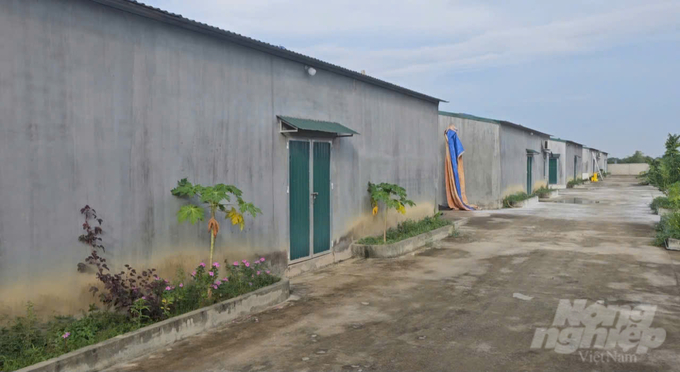 A high-tech duck farm in Van Thang commune, Nong Cong district, Thanh Hoa. Photo: Quoc Toan.