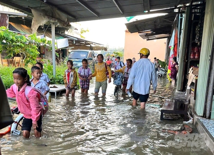 Triều cường dâng cao gây ngập lụt các khu vực trũng thấp gần cửa sông Cái Lớn, ảnh hưởng đến sinh hoạt, đi lại của người dân. Ảnh: Trung Chánh.