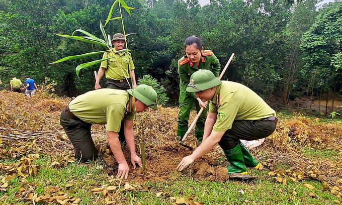 Yen Bai Provincial Forest Rangers, together with local people and relevant authorities, are planting forests. Photo: Bao Thang.