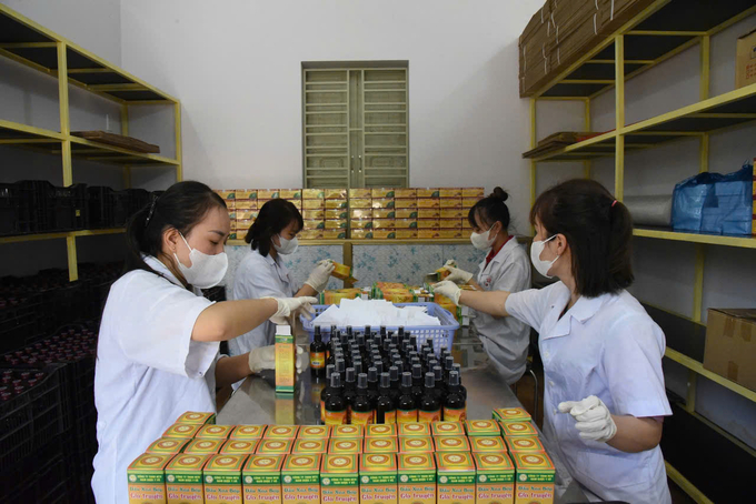 Nguyen Van Manh’s herbal products have received official recognition as OCOP-certified products frok Quang Ninh Province. Photo: Nguyen Thanh.