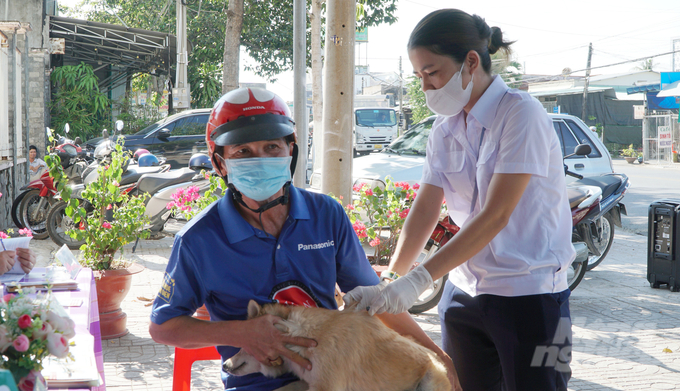 Việc triển khai tiêm ngừa dại tập trung sẽ giúp Tây Ninh tăng đáng kể hiệu quả phòng chống bệnh dại trên địa bàn. Ảnh: Lê Bình.